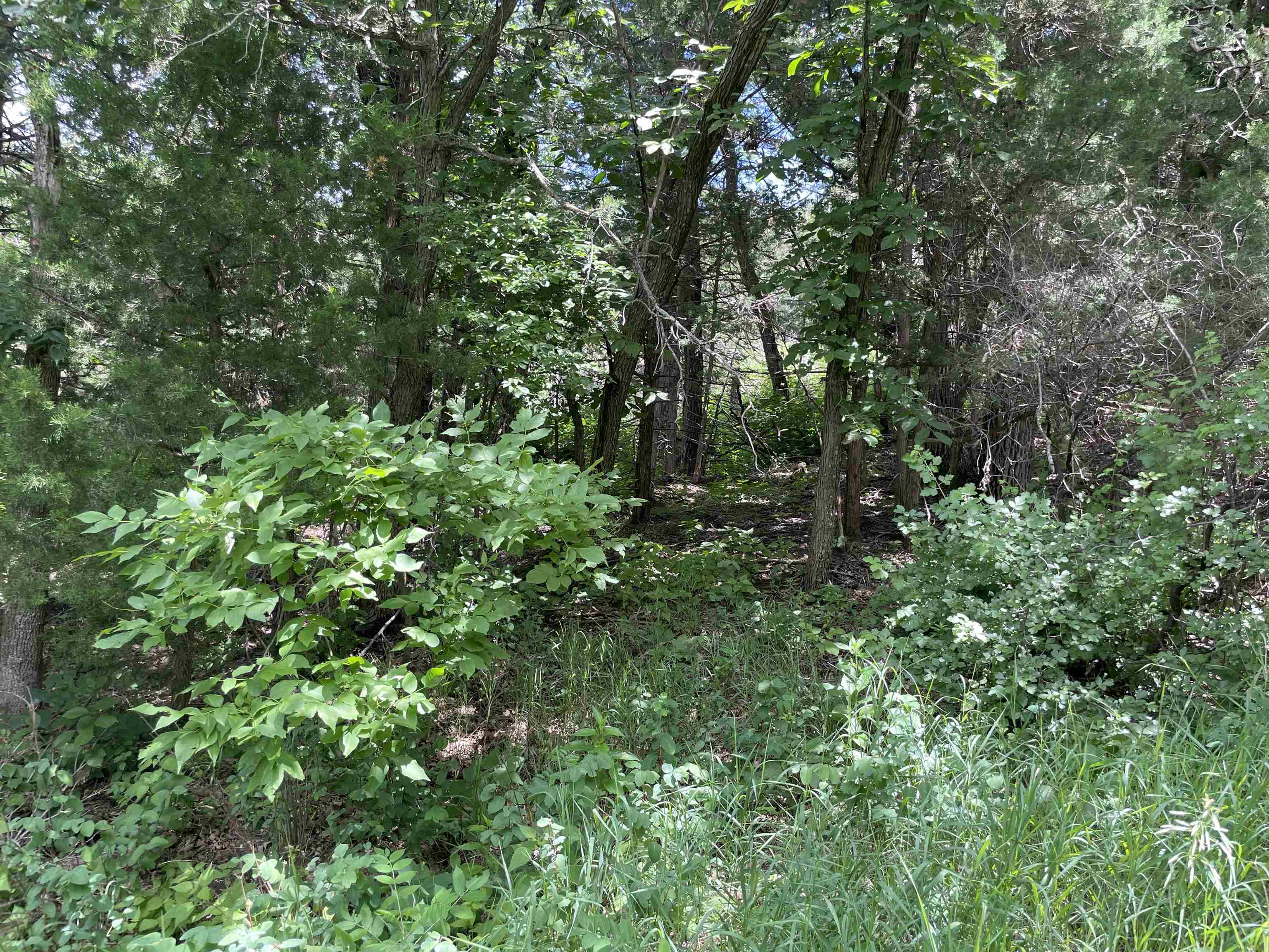 TBD Crooked Oaks, Crofton, NE, 68730