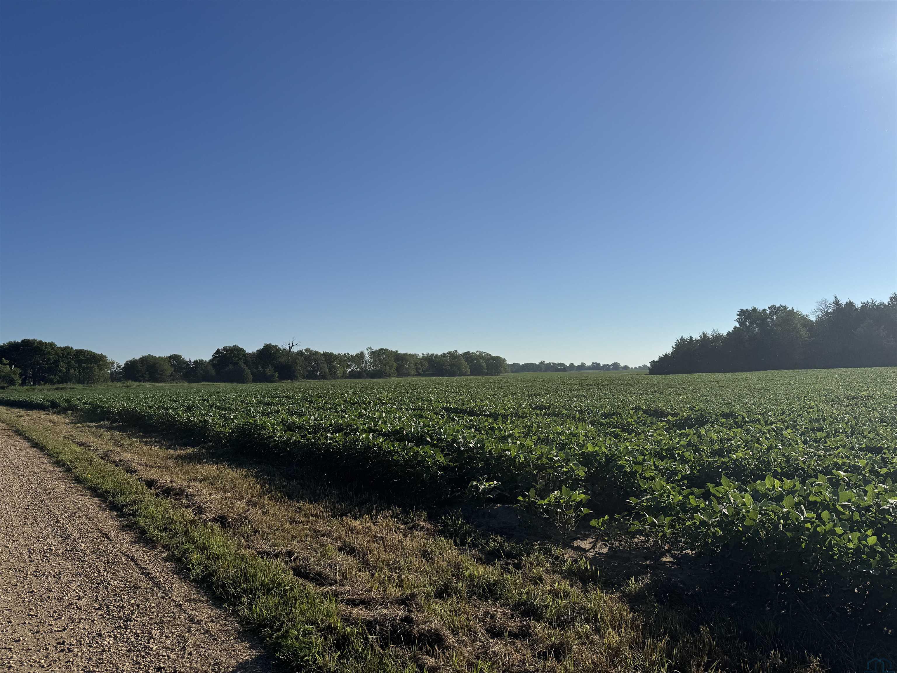 TBD Danielson Place, Vermillion, SD, 57069